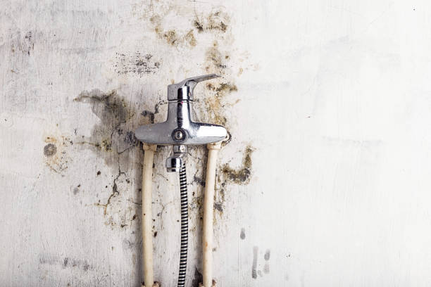 Trusted Hanley Hills, MO Mold Remediation Experts