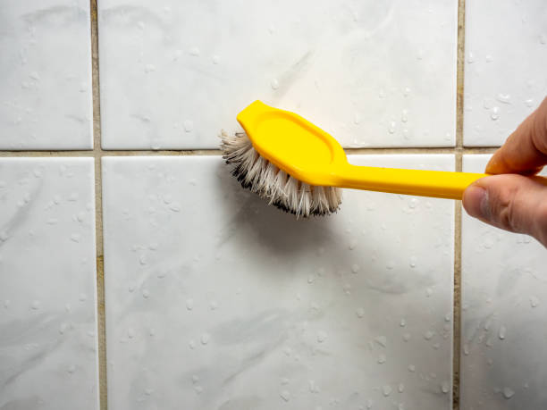 Best Kitchen Mold Remediation in Hanley Hills, MO