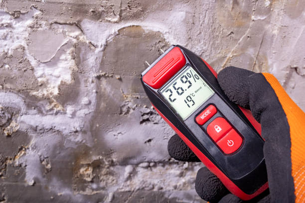 Best Preventive Mold Services in Hanley Hills, MO